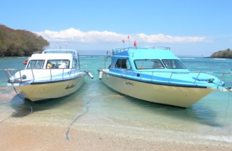 Duiksafari Bali en Komodo