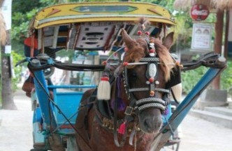 14daagse rondreis Bali en Lombok